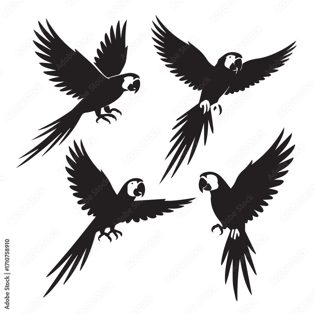 Obraz premium Tropical Bird Silhouette Set