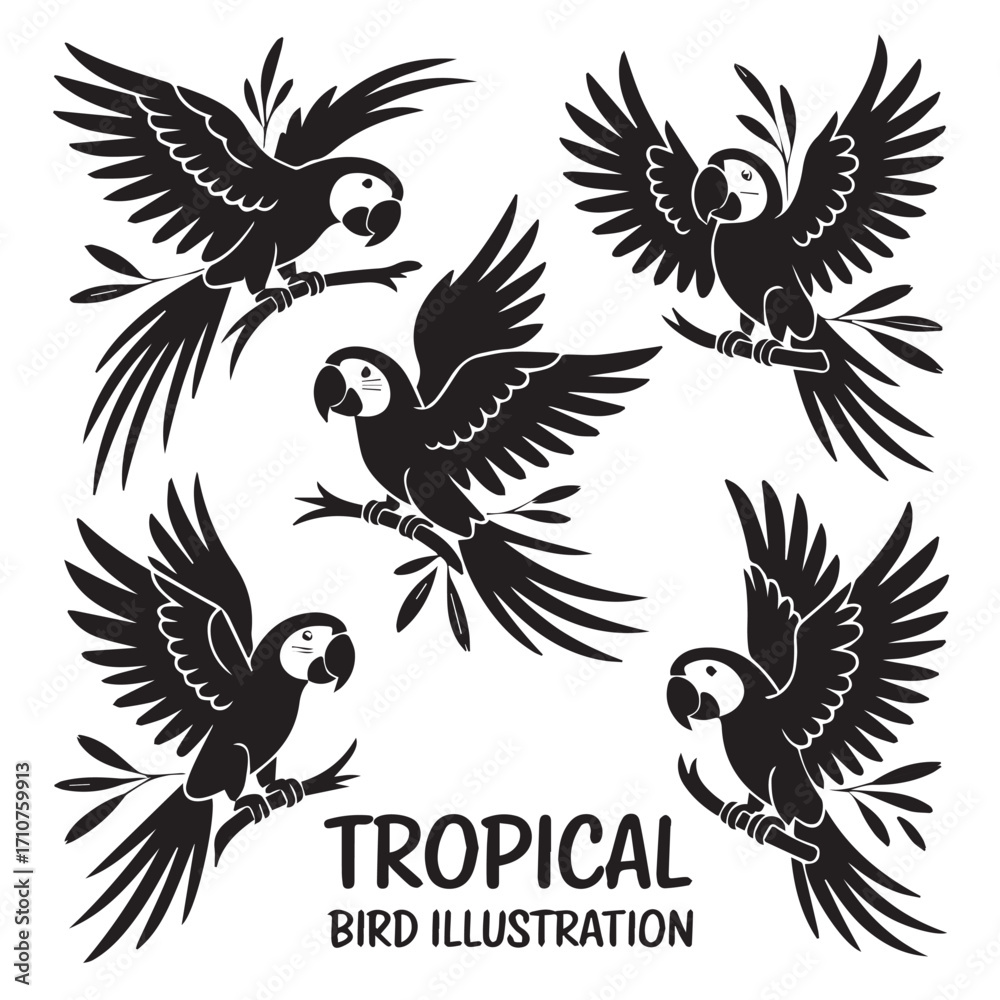 Fototapeta premium Black and White Parrot in Flight