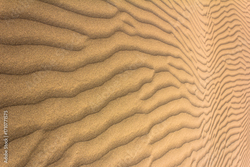 Golden sand dunes with natural wave patterns in Yazd desert, Iran, showcasing stunning textures shaped by wind, perfect for backgrounds and nature themes.