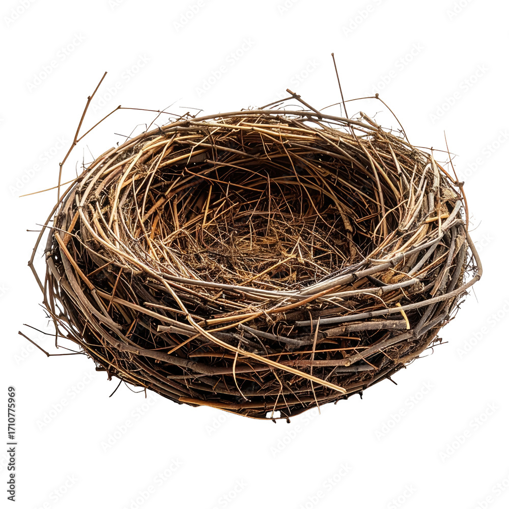 Obraz premium Empty bird's nest, twigs, natural, circular, brown
