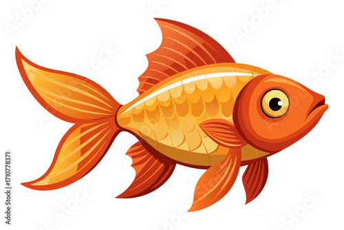 goldfish on white background