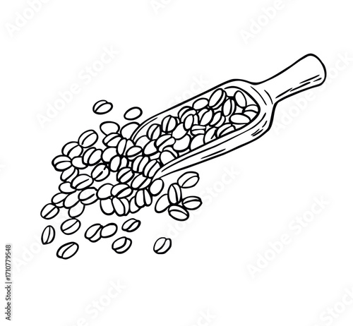 Coffee beans and scoop

