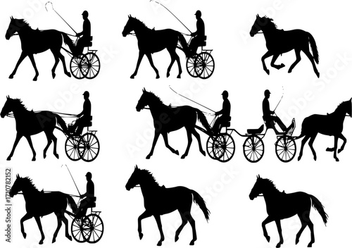 Horse combined driving, Harness racing, horse pair carriage, marathon, vector pony silhouette, equestrian sport, isolated on white background, horse silhouette, set of horse, collection