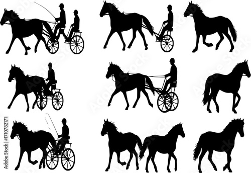 Horse combined driving, Harness racing, horse pair carriage, marathon, vector pony silhouette, equestrian sport, isolated on white background, horse silhouette, set of horse, collection