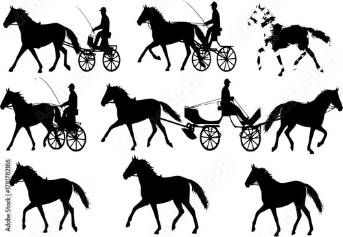 Horse combined driving, Harness racing, horse pair carriage, marathon, vector pony silhouette, equestrian sport, isolated on white background, horse silhouette, set of horse, collection