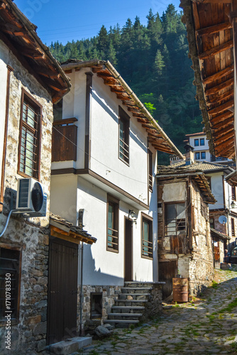 old houses in the village