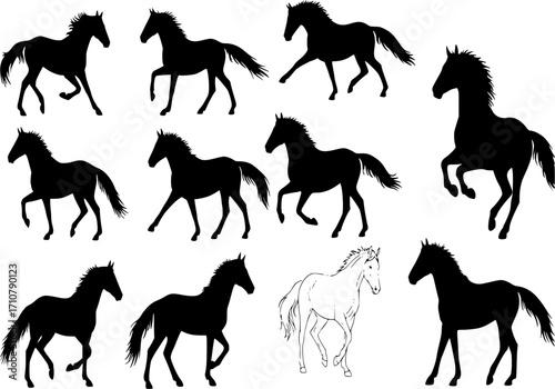 Horse Silhouettes - Vector
