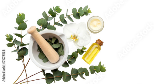 Eucalyptus leaves in a mortar with pestle, essential oil, and orchid flower isolated on transparent background for natural wellness and beauty products