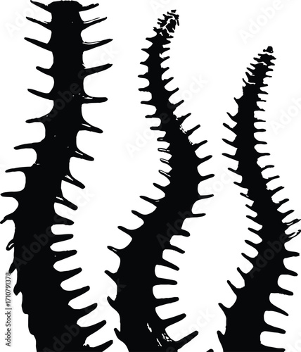 Spine Tentacle Silhouette Trio — Minimalist Black and White Illustration Featuring Three Curved, Segmented Structures with Barbed Protrusions Evoking Anatomy, Fantasy, and Organic Abstraction
