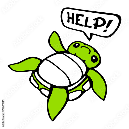 Little Turtle flipped onto its back helpless help