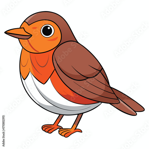 robin bird colorful vector 