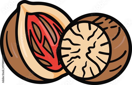 A detailed illustration showcases a whole nutmeg and its cross-section, revealing the intricate texture and vibrant color of the spice inside