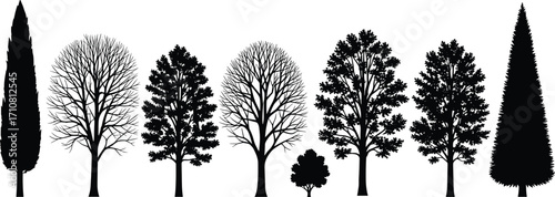 Tree silhouettes, forest shapes, botanical diversity, nature design, landscape elements, foliage patterns, seasonal trees, conifer outlines, bare branches, plant forms