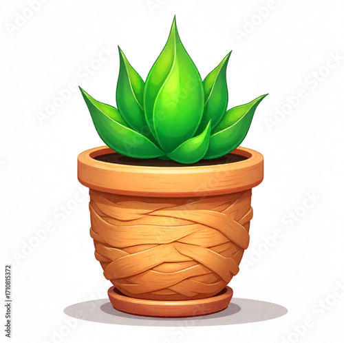 green plant in a pot on a white background