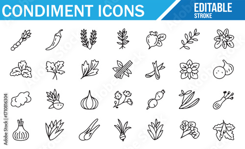 Editable line style condiment icons collection, chili pepper, garlic, onion, herbs, spices, vegetables, seasoning, parsley, coriander, and natural flavor symbols for cooking, culinary, and food design