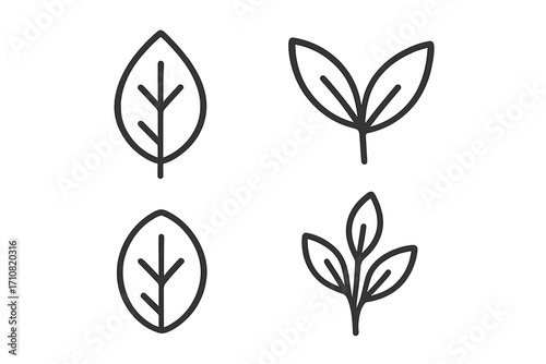 Simple leaf line icon set. Plant, foliage and branch symbols. Minimalist outline vector graphic for eco, organic, bio, and vegan concepts. Natural growth sprout illustration.