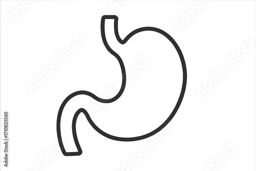 Stomach icon vector. Gastroenterology linear symbol. Human internal organ. Digestive system sign. Digestion concept. Anatomy, medicine, and healthcare pictogram logo design.