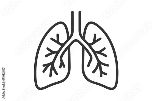 Lungs icon. Human organ anatomy symbol. Respiratory system sign. Pulmonology, breathing concept. Health care, medical linear pictogram. Simple line art vector illustration.