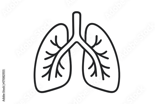 Lungs icon. Human respiratory system symbol. Linear vector illustration. Pulmonology, anatomy concept. Healthy breathing organ outline. Medical, healthcare graphic logo design.