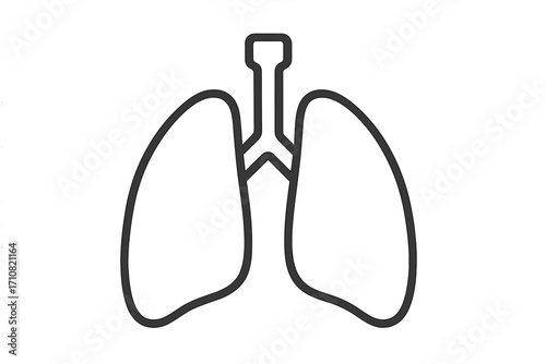 Lungs icon vector. Human respiratory system symbol. Pulmonology, anatomy, medical linear concept. Healthy breathing organ illustration for diagnosis, clinic, hospital design.