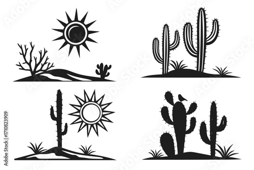 cactus in desert