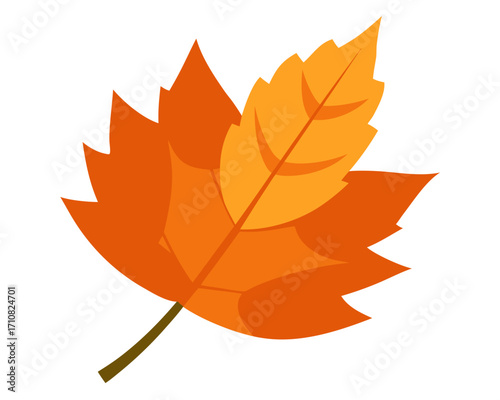 autumn leaf  icon,autumn leaf vector on white background