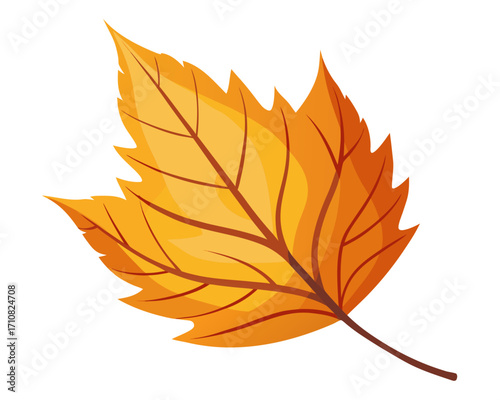 autumn leaf  icon,autumn leaf vector on white background