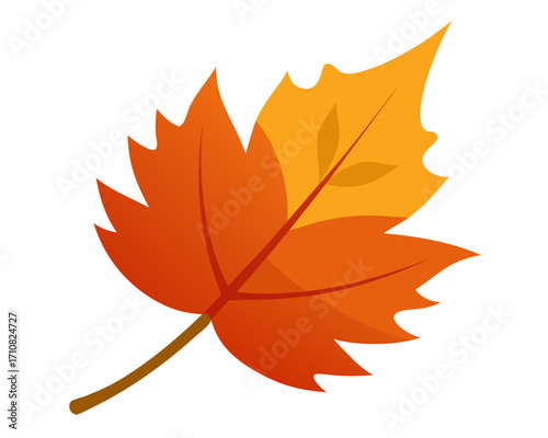 autumn leaf  icon,autumn leaf vector on white background