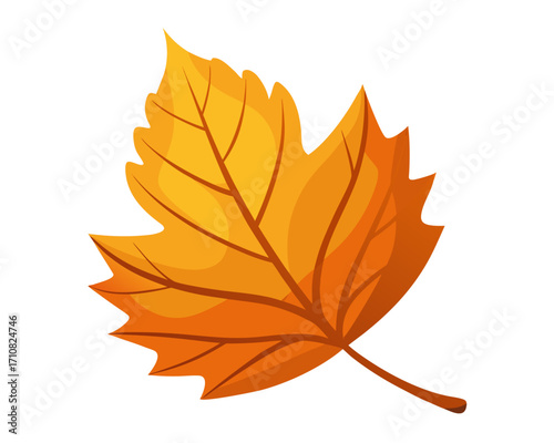autumn leaf  icon,autumn leaf vector on white background