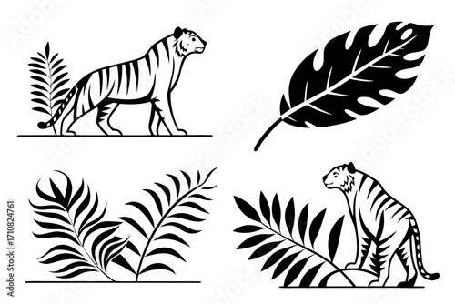 zebra vector illustration