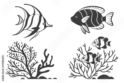 set of fish