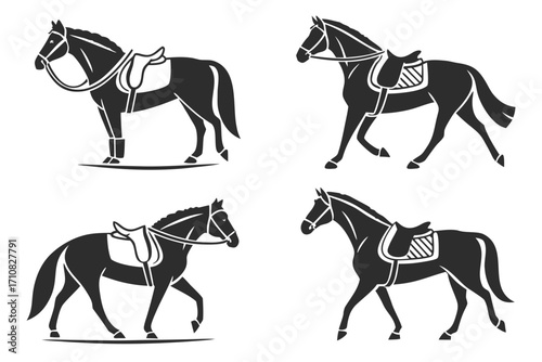 horses on white