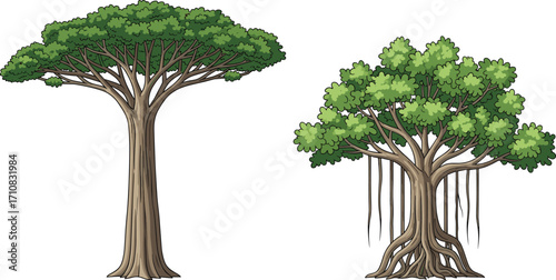 Umbrella canopy tree, aerial root tree, foliage contrast, botanical illustration, nature design, tree structure, root system, garden scene, vibrant greenery, landscape art