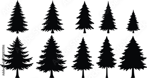 Collection of pine tree silhouettes, black evergreen icons, vector Christmas trees, isolated nature elements, graphic design set