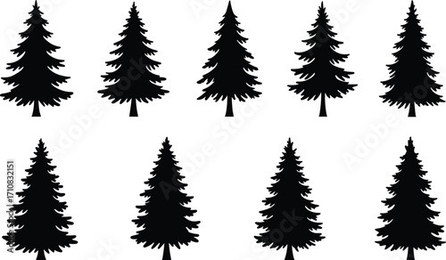 Collection of pine tree silhouettes, black evergreen icons, vector Christmas trees, isolated nature elements, graphic design set