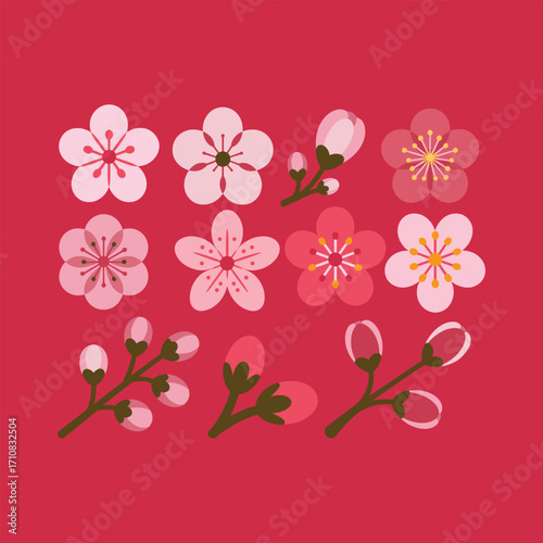 Pink and Red Cherry Blossoms and Buds on Red Background Keywords: cherry blossoms, sakura, flowers