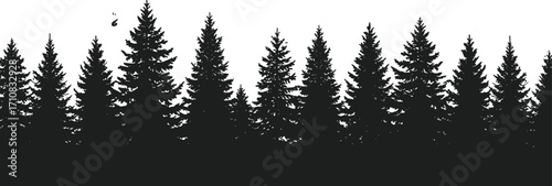 Silhouette of dense pine forest, misty woodland background, black and white nature scene, tranquil evergreen trees, atmospheric forest landscape