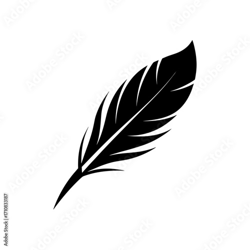 A single black feather art on transparent background silhouette