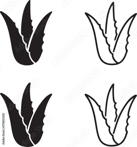 Aloe vera icons set, four herbal plant aloe icons, black silhouette, outline, filled, thin stroke, minimal vector, editable isolated design, skincare and organic medicine symbols