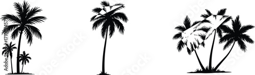 Palm tree silhouette illustration, tropical beach design, exotic island nature, summer holiday vibe, coconut tree landscape, paradise vacation background, coastal tropical scenery