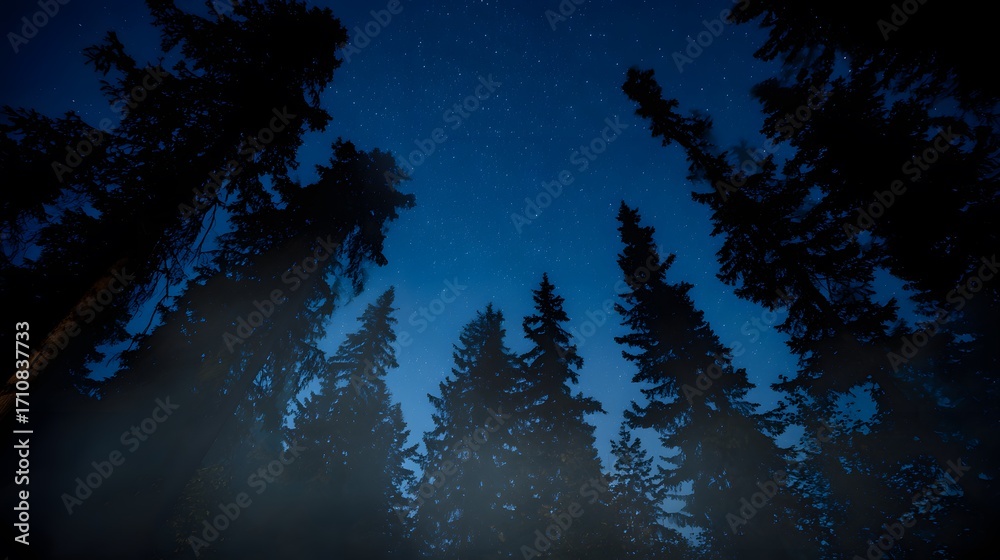 Fototapeta premium A serene forest at night under a sky full of stars