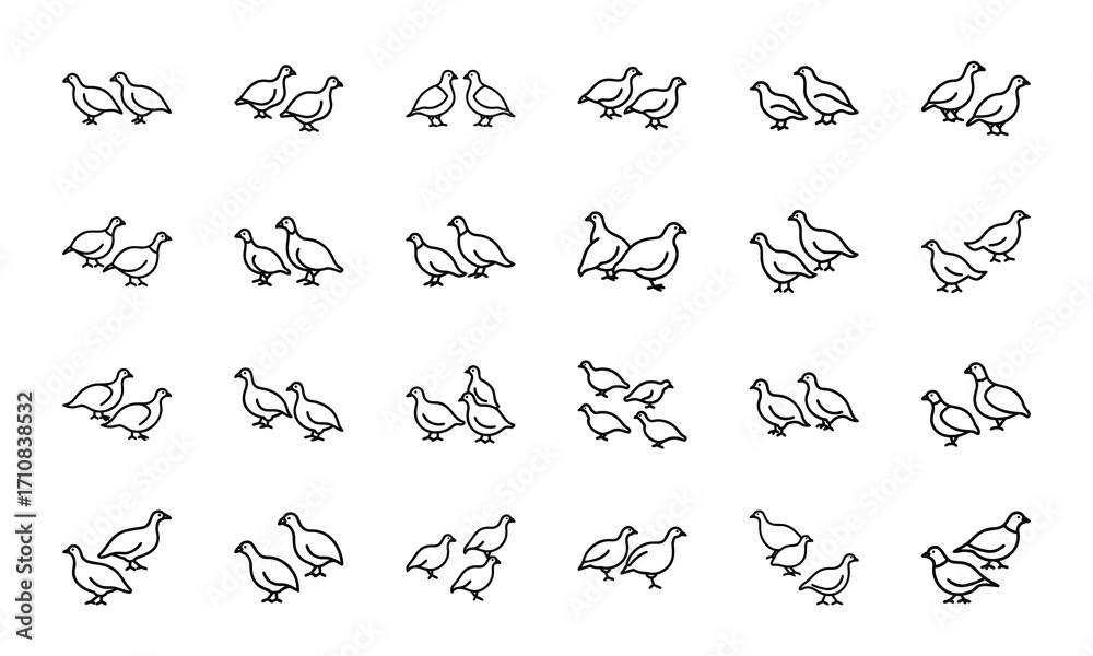 Fototapeta premium Bird Silhouette Icon Set in Minimal Line Art Style on White Background – Vector Collection of Flying Birds, Penguins, Parrots, Ducks, and Songbirds for Nature and Wildlife Design