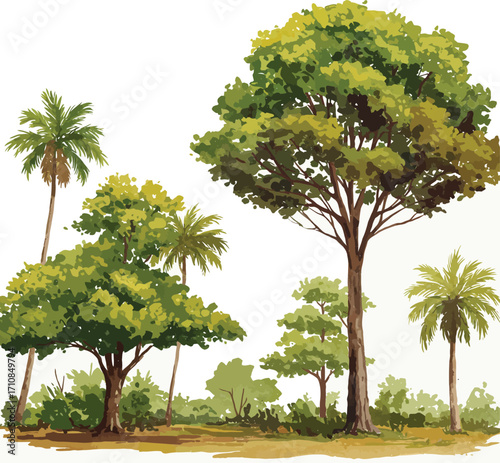 Watercolor illustration of tropical trees and shrubs on white background