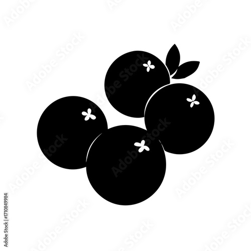 Isolated vector illustration of fresh cranberries for healthy eating and thanksgiving design needs