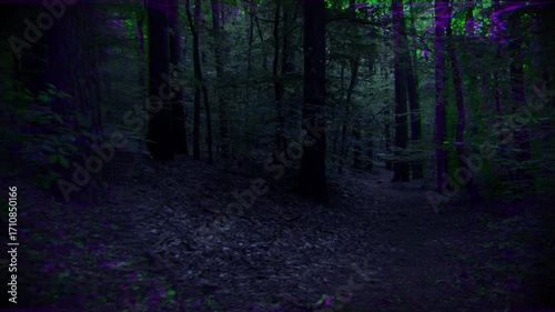 Surreal Handheld Forest Walk with Chromatic Aberration Effect. Spooky and dreamlike forest. A moody and atmospheric video capturing a handheld walk through a dense forest path during twilight.