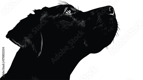 Majestic Black Dog Head Silhouette on White Background for Canine Lovers