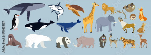 Photography Wild animals species icons colored cartoon sketch