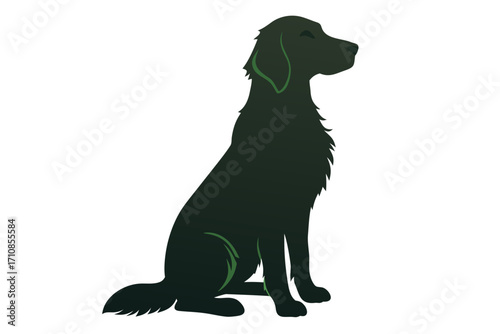 black labrador retriever