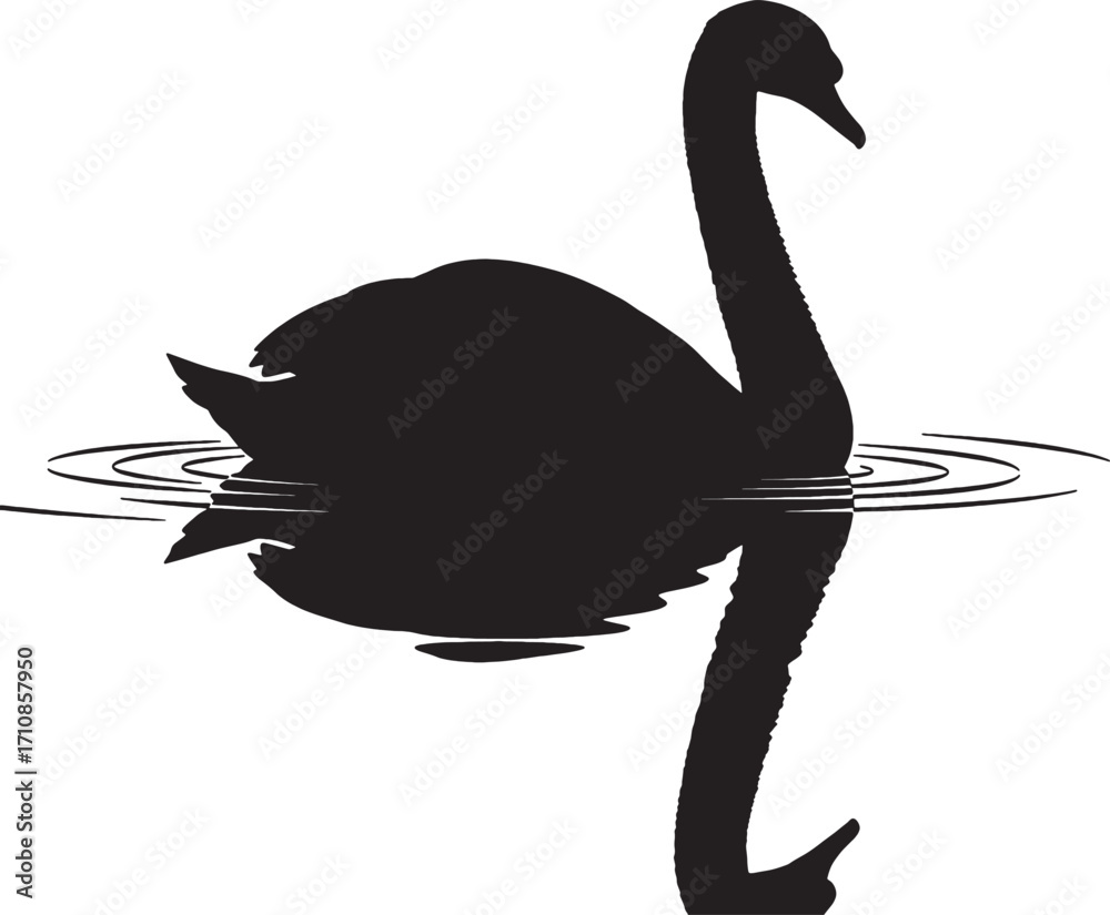 Obraz premium Animal