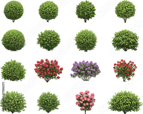 Bushes, shrubs, foliage, flowering plants, garden greenery, landscaping elements, nature collection, botanical variety, seasonal bloom, outdoor design, plant textures, vibrant flora\